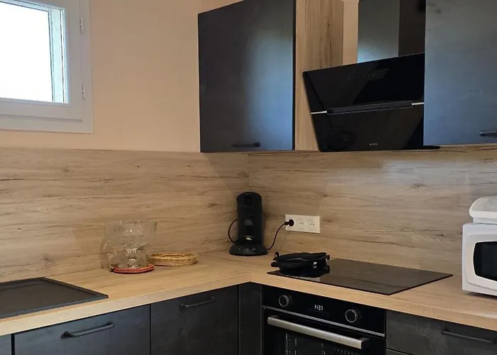 Apartment Embrun - Appartement Climatise 2 Chambres Avec Terrasse Vue Canigo - Plage A Pied Le Barcarès